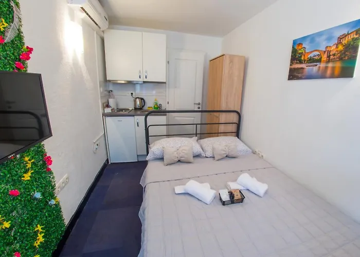 דירה Cozy Box מוסטר